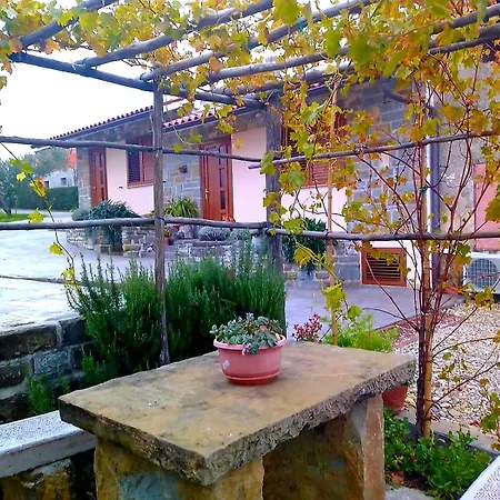 Tatil Evi House Ida Marezige