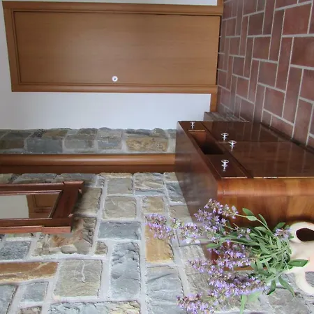 Tatil Evi House Ida *