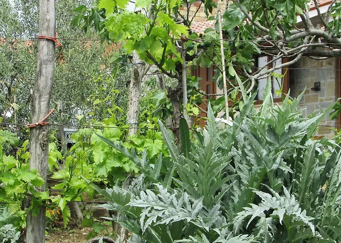 Vakantiehuis House Ida Marezige